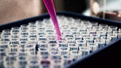 Photo by Louis Reed on Unsplash